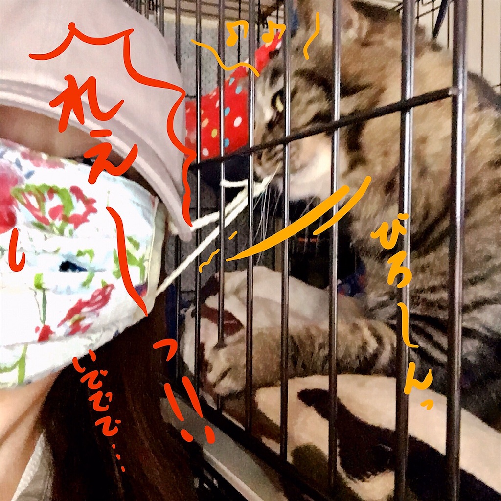 f:id:munazouchan48:20200602044005j:image