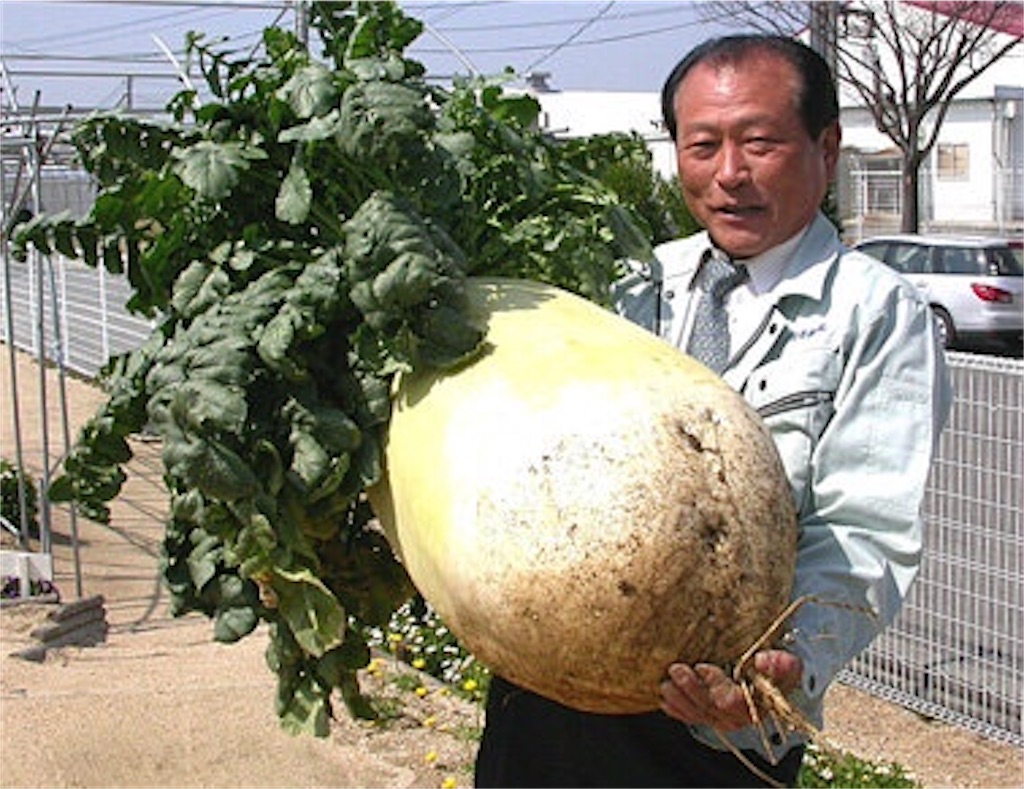 f:id:munazouchan48:20210306135524j:image