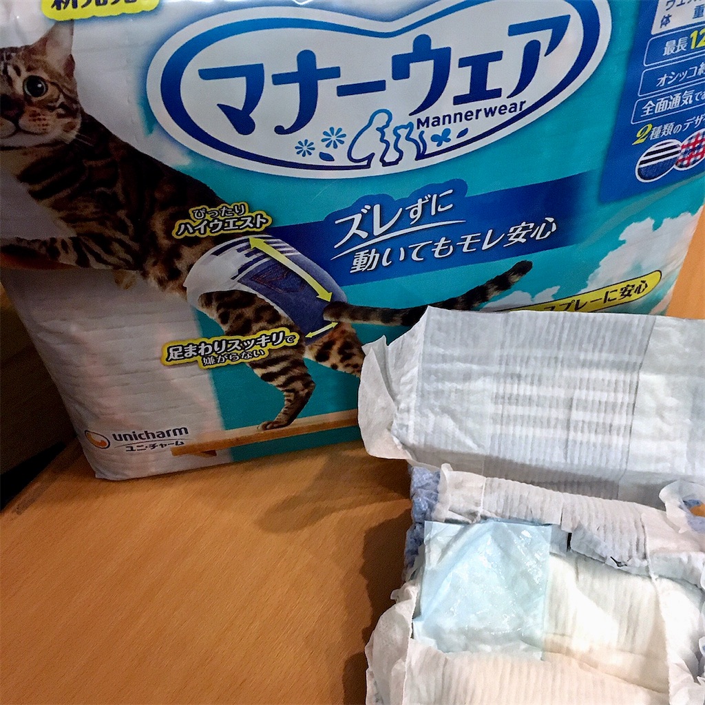 f:id:munazouchan48:20210325141700j:image