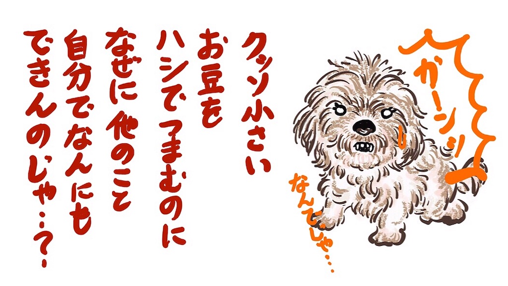 f:id:munazouchan48:20210618003713j:image f:id:munazouchan48:20210618003713j:image