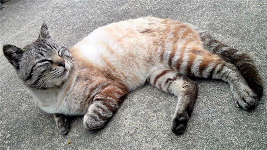 f:id:munazouchan48:20210703160120j:image