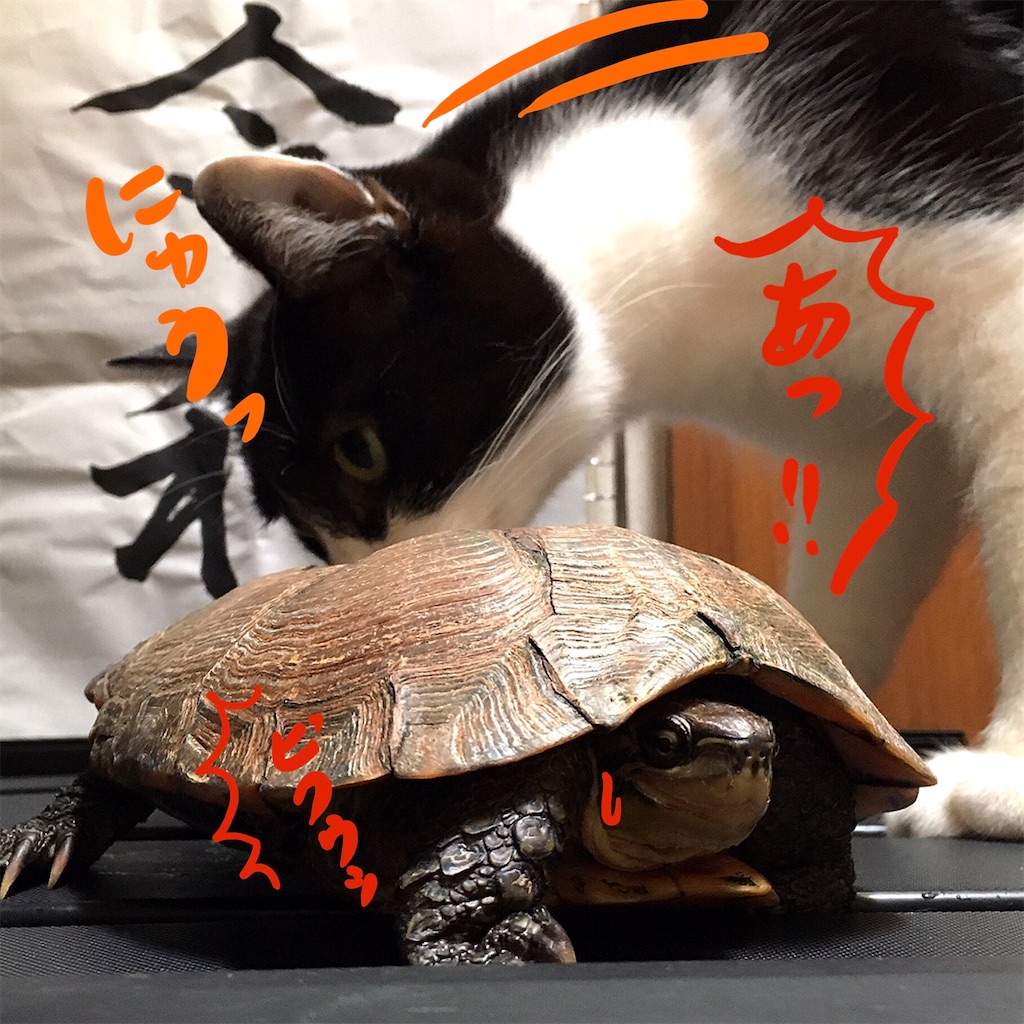 f:id:munazouchan48:20210703162802j:image