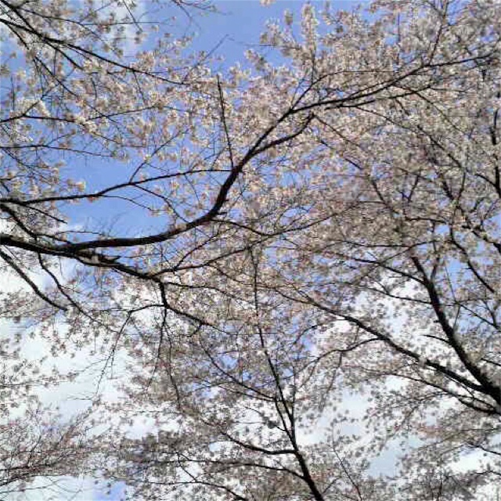 f:id:munazouchan48:20210703170010j:image