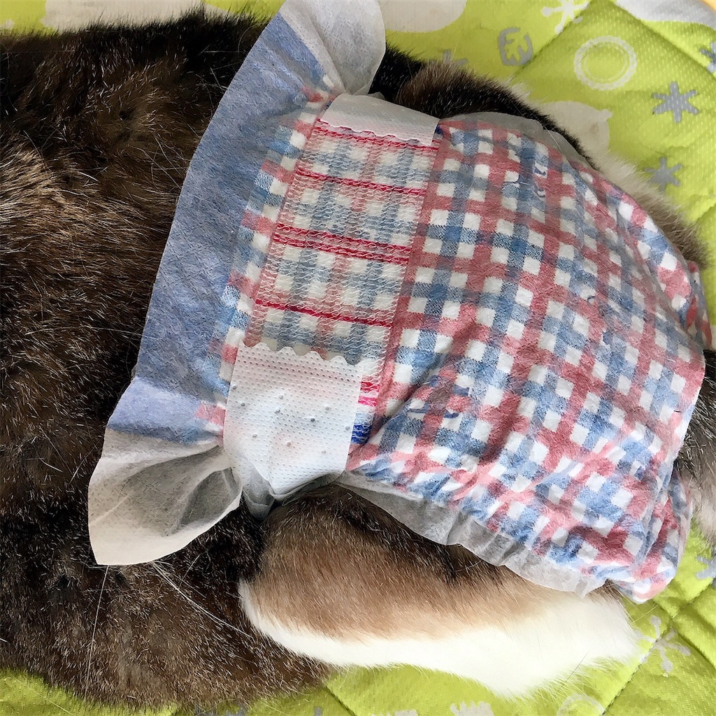 f:id:munazouchan48:20210801174054j:image