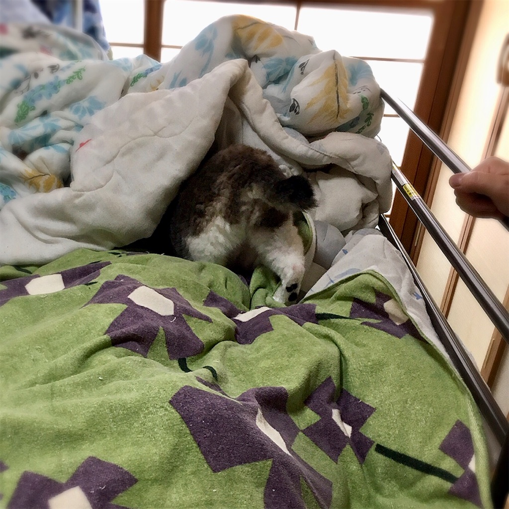 f:id:munazouchan48:20210901010241j:image