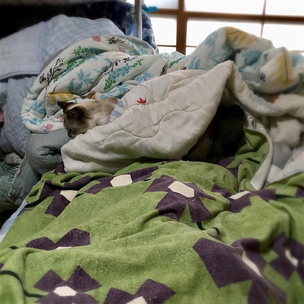 f:id:munazouchan48:20210901010245j:image