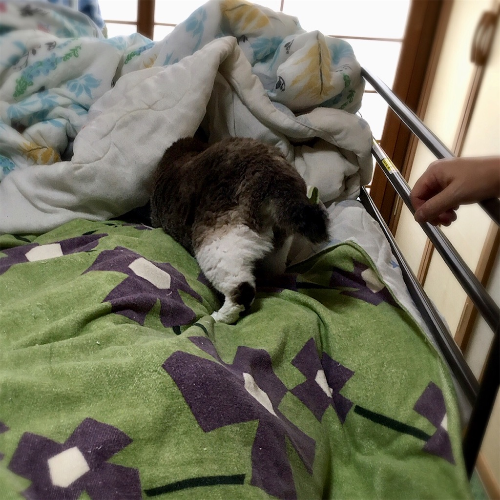 f:id:munazouchan48:20210901010249j:image