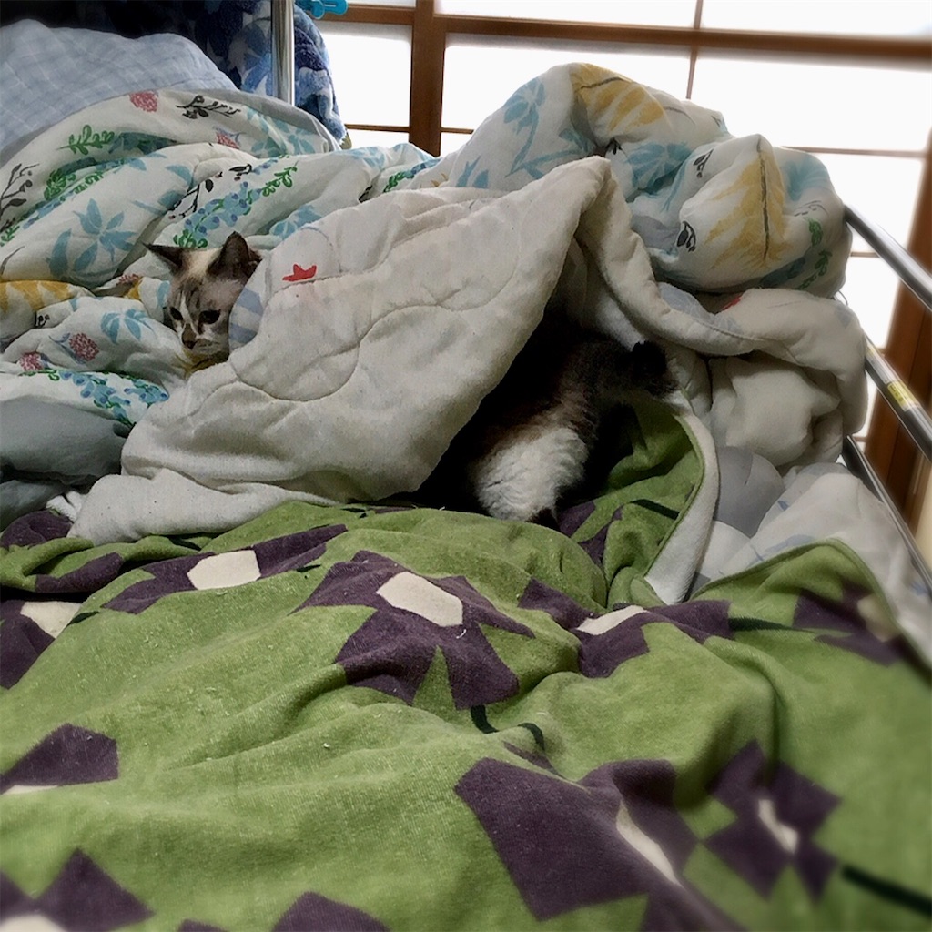 f:id:munazouchan48:20210901010253j:image