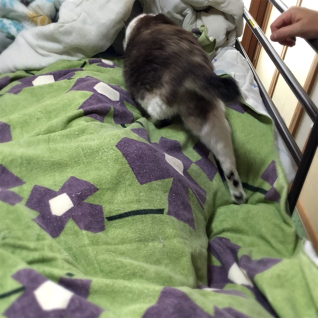 f:id:munazouchan48:20210901010302j:image