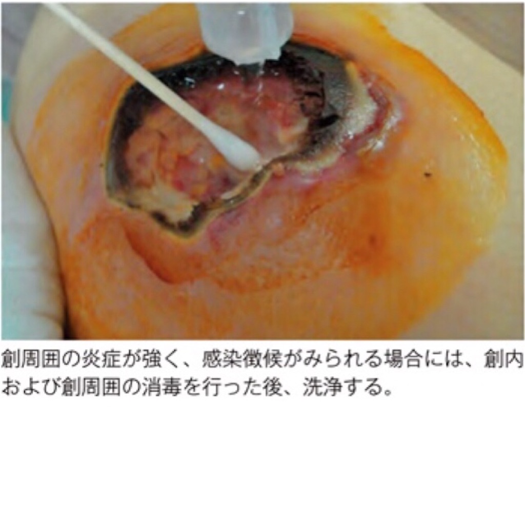 f:id:munazouchan48:20210904140801j:image