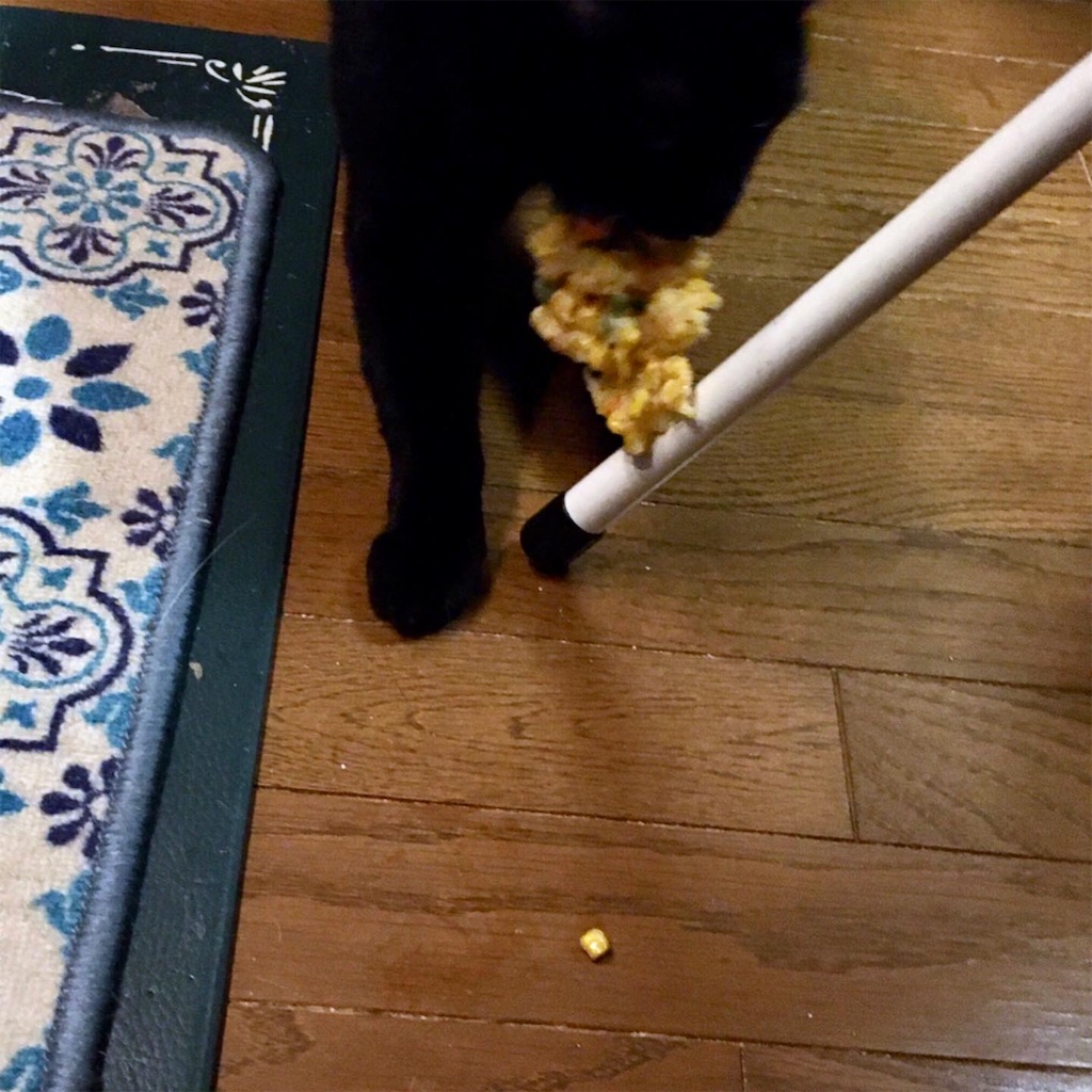 f:id:munazouchan48:20221009180822j:image