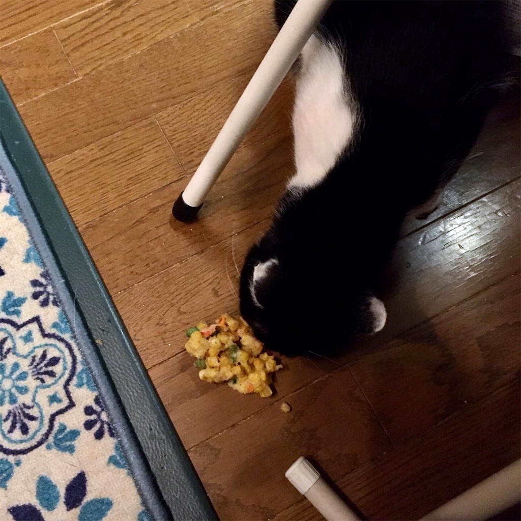 f:id:munazouchan48:20221009180843j:image