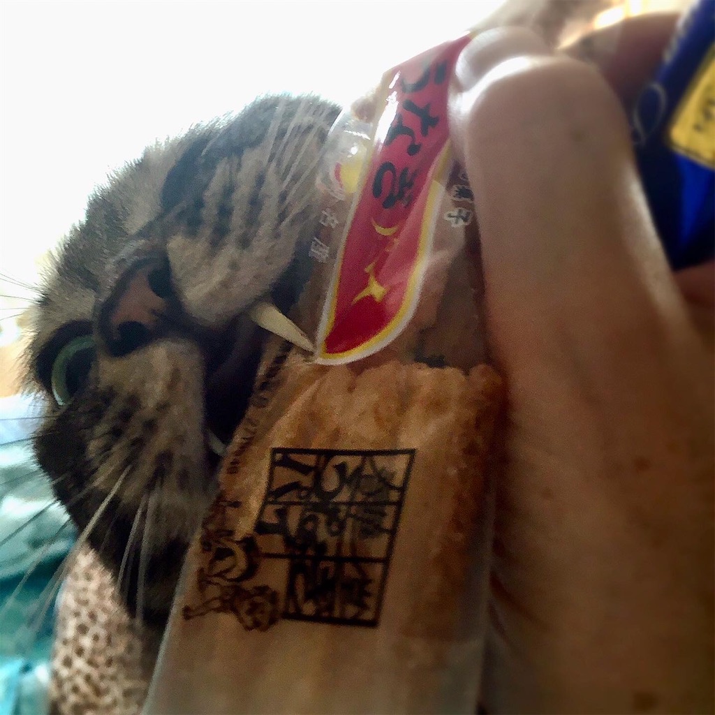 f:id:munazouchan48:20221009180942j:image