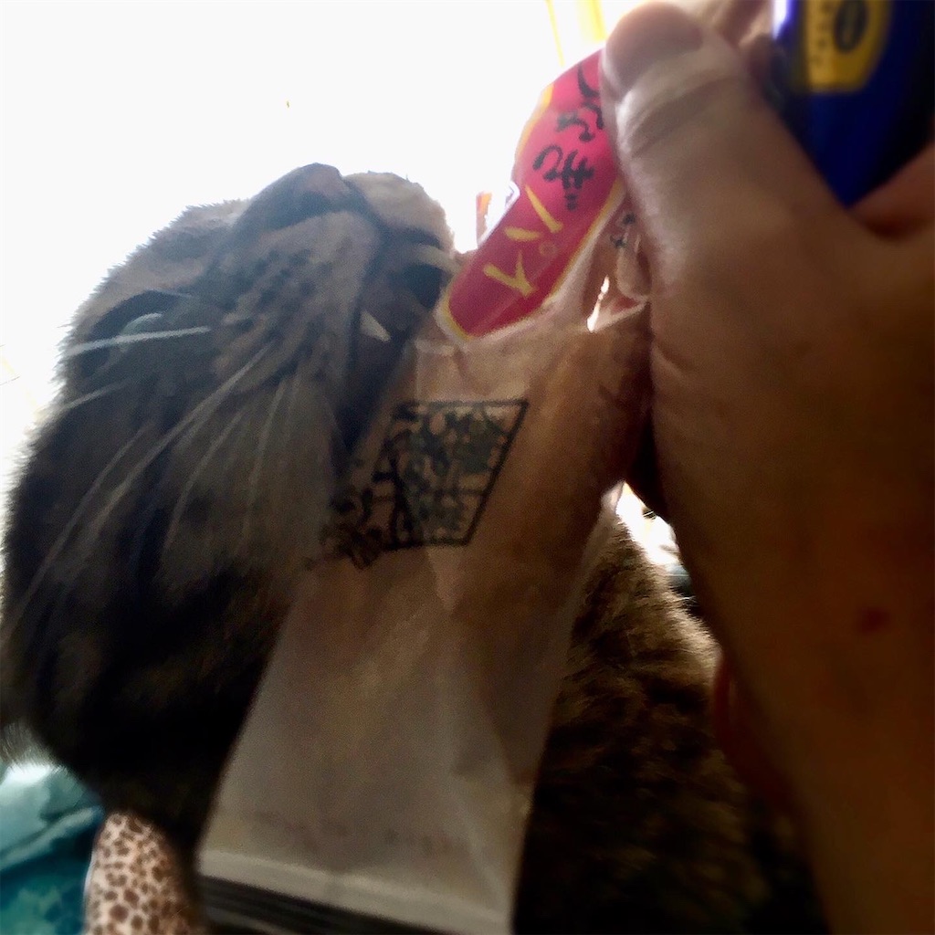 f:id:munazouchan48:20221009181004j:image