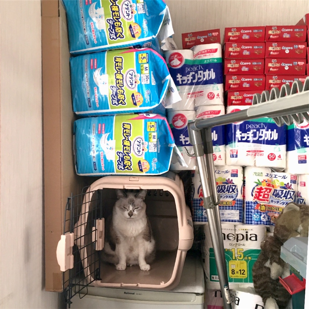 f:id:munazouchan48:20221009190007j:image