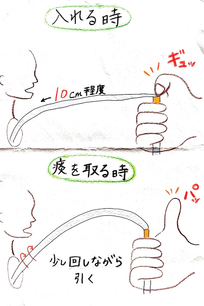 f:id:munazouchan48:20230607173145j:image