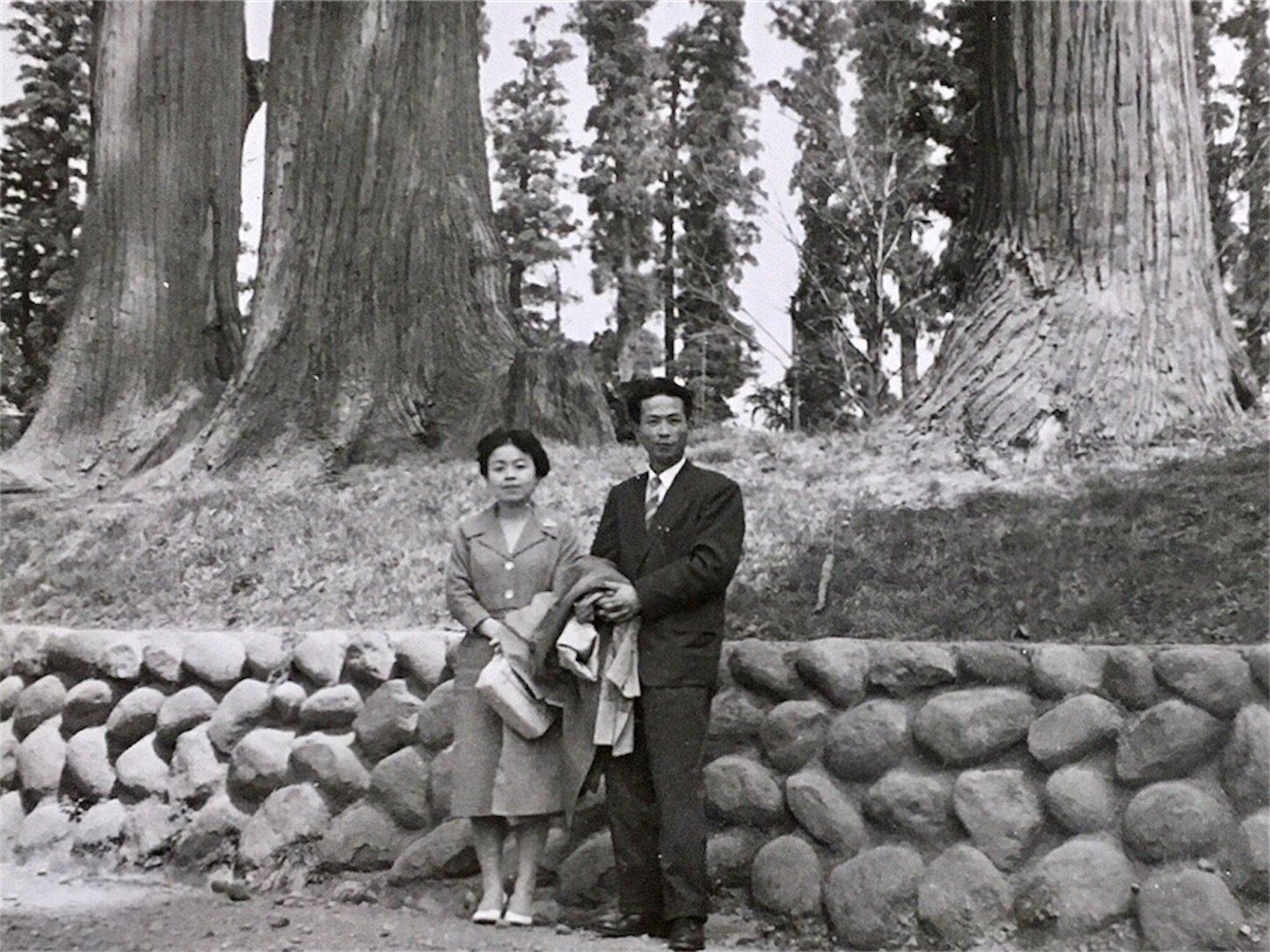 f:id:munazouchan48:20230722141514j:image