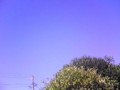 20090529072200