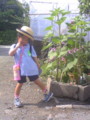 20090612083800