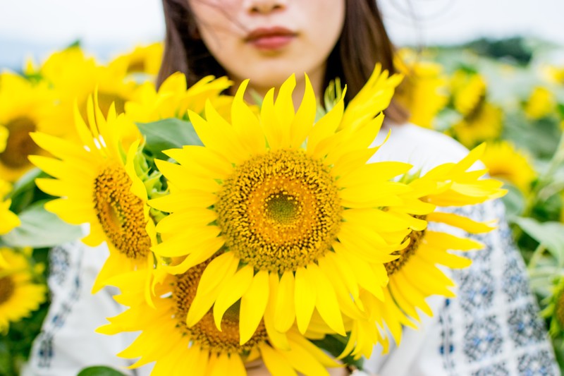 f:id:munehisa0721:20190921085512j:plain