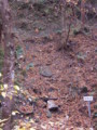 20101122102613
