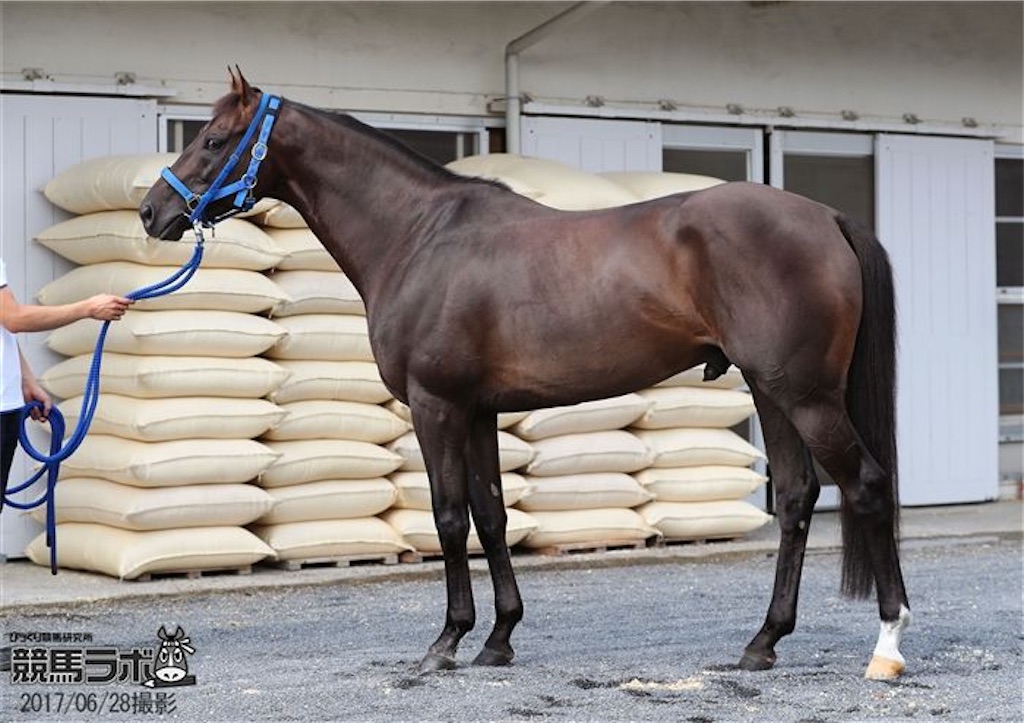 f:id:munetika0926:20230702181831j:image