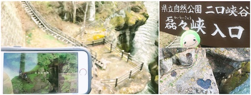 f:id:muni_jump:20190313224523j:image f:id:muni_jump:20190313224523j:image