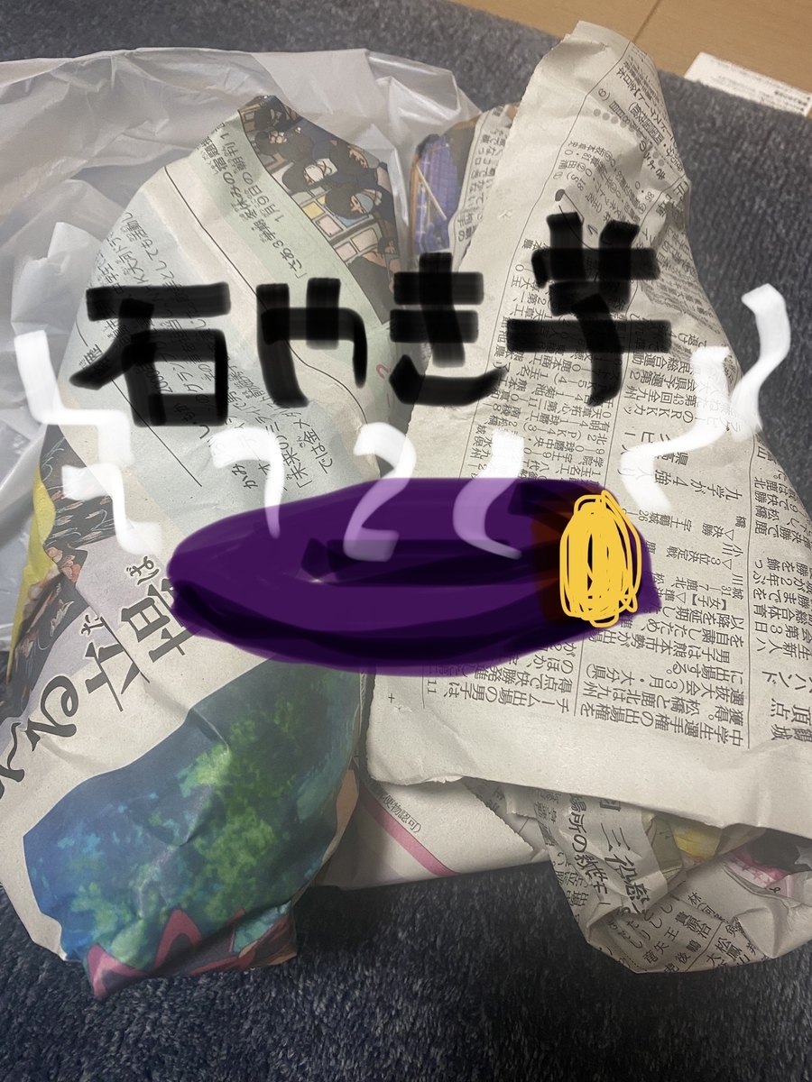 f:id:munnon0303:20210222122444j:plain