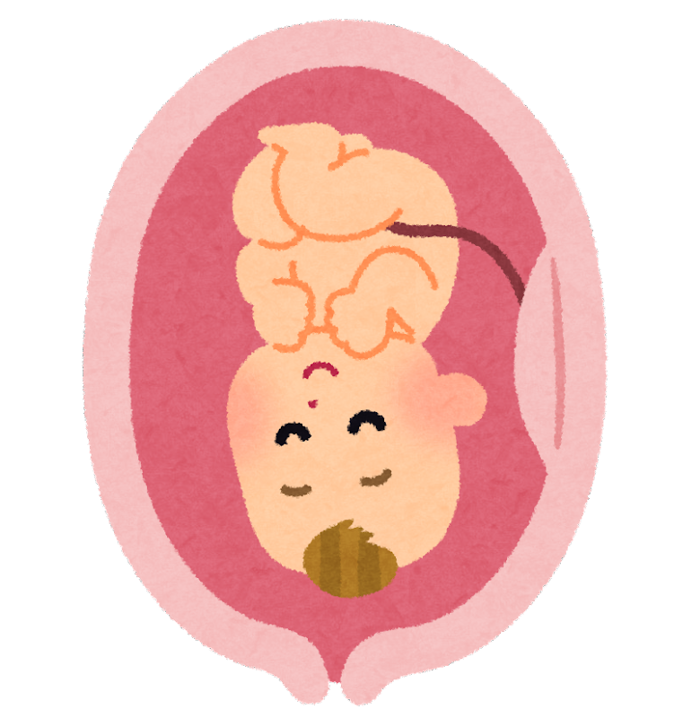 f:id:munnon0303:20210929203727p:plain