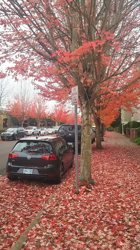 オレゴン州 ポートランド ヒルズボロ散策 ムン太のブログ