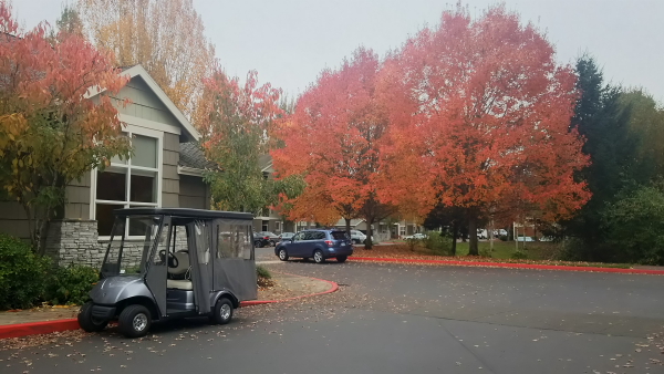 オレゴン州 ポートランド ヒルズボロ散策 ムン太のブログ