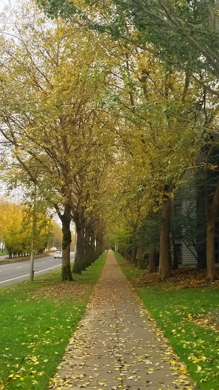 オレゴン州 ポートランド ヒルズボロ散策 ムン太のブログ