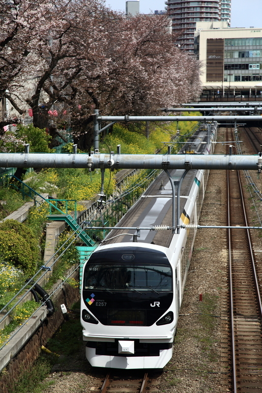 鉄道撮影 中央線 東中野 中野 桜と鉄道 ムン太のブログ