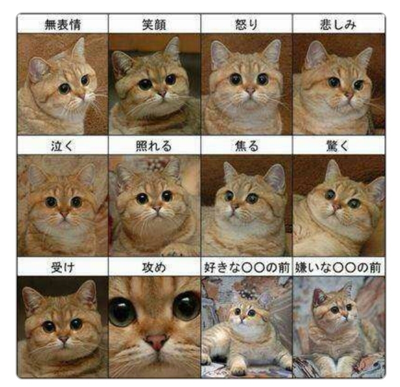 猫の気持ち 猫ブログ ムン太のブログ