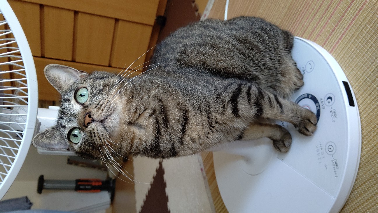 f:id:muntapom:20191005114953j:image
