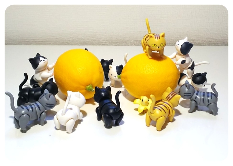 f:id:mupumukuu:20220127120107j:plain