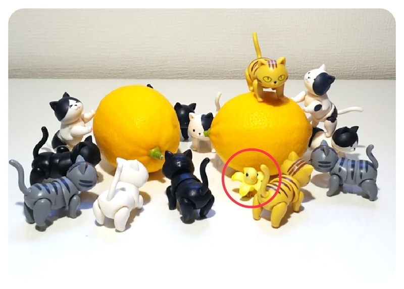 f:id:mupumukuu:20220127122704j:plain