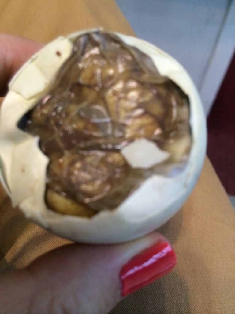 073 フィリピンの珍味 バロットを食べてみた 14 10 世界流離日記 073 フィリピンの珍味 バロットを食べてみた 14 10 世界流離日記