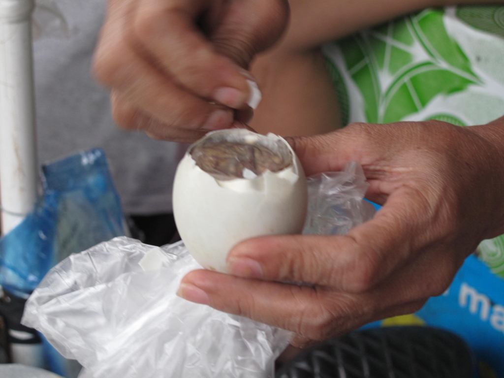 073 フィリピンの珍味 バロットを食べてみた 14 10 世界流離日記 073 フィリピンの珍味 バロットを食べてみた 14 10 世界流離日記