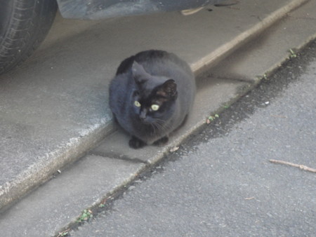 f:id:muraatsushi:20170122140158j:image