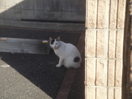 f:id:muraatsushi:20170127144156j:image