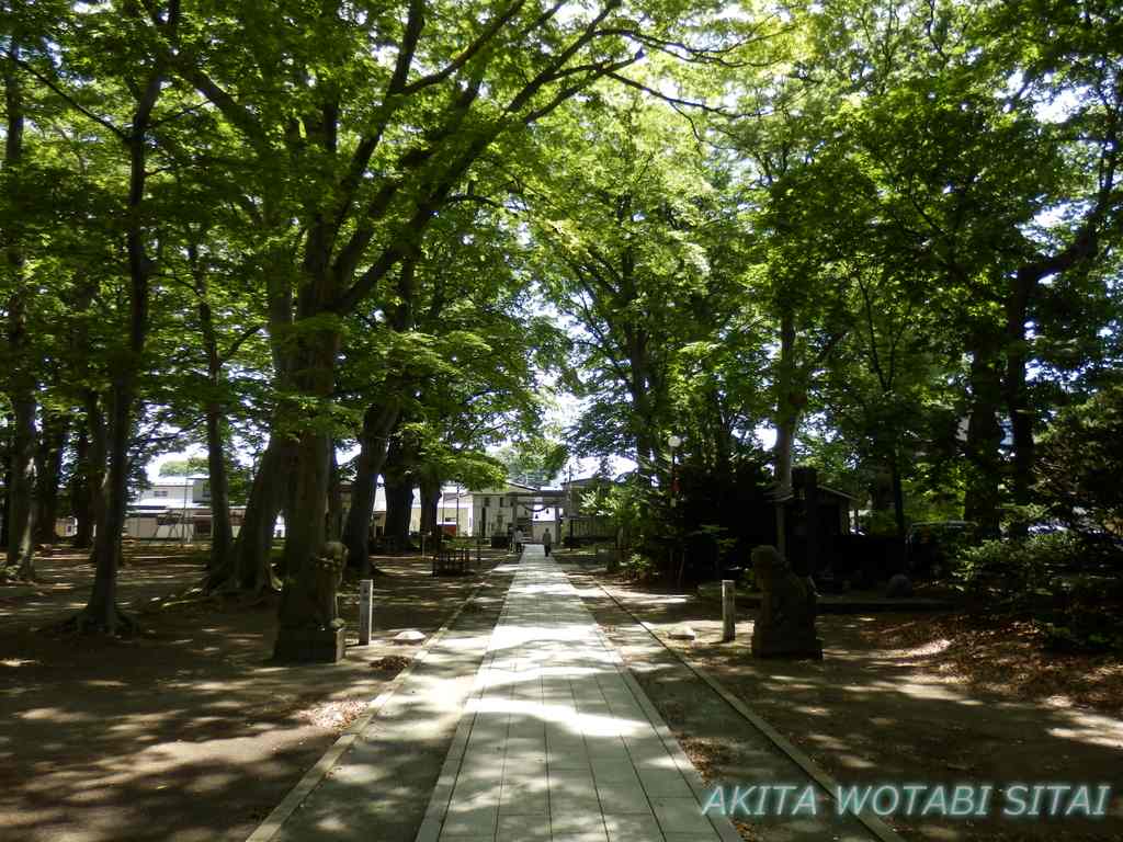 f:id:murabitosonoiti:20180726154745j:plain f:id:murabitosonoiti:20180726154745j:plain