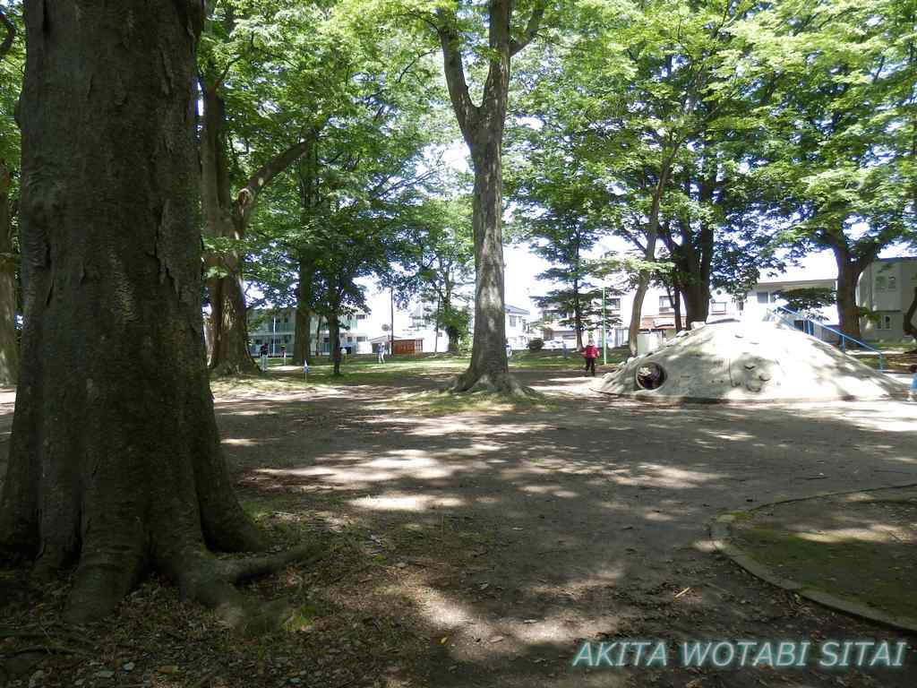 f:id:murabitosonoiti:20180726154758j:plain f:id:murabitosonoiti:20180726154758j:plain