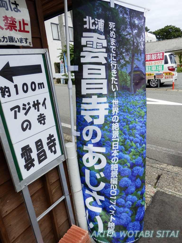 男鹿あじさい寺 雲昌寺 秋田を旅したい