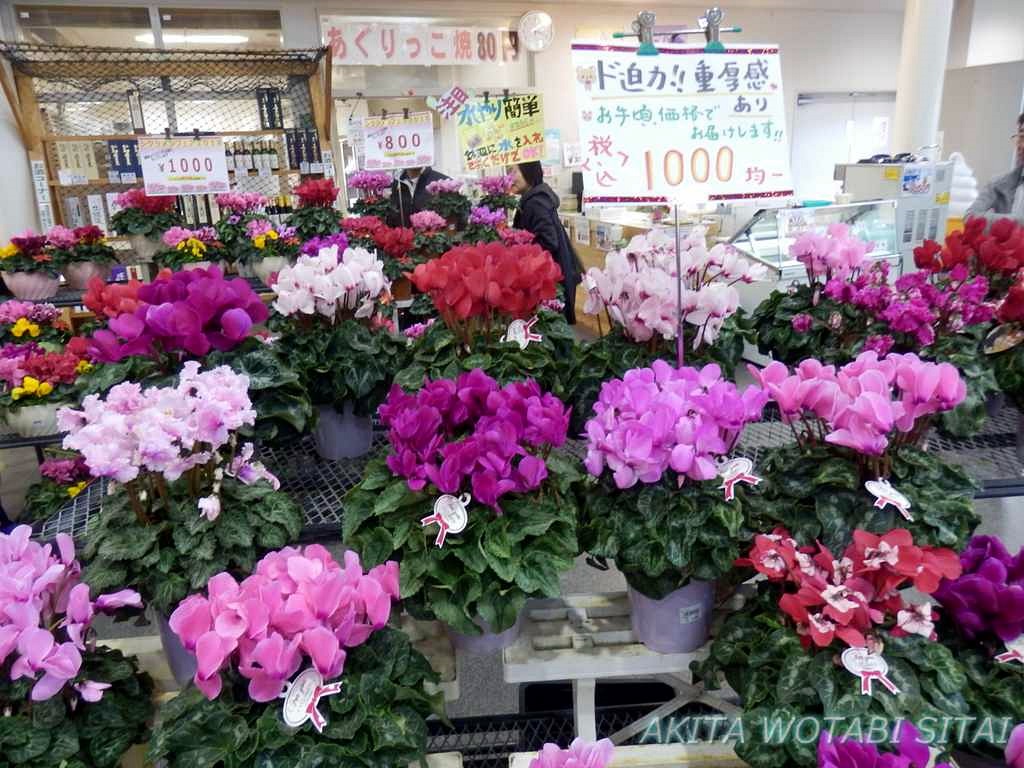 f:id:murabitosonoiti:20181130151056j:plain f:id:murabitosonoiti:20181130151056j:plain