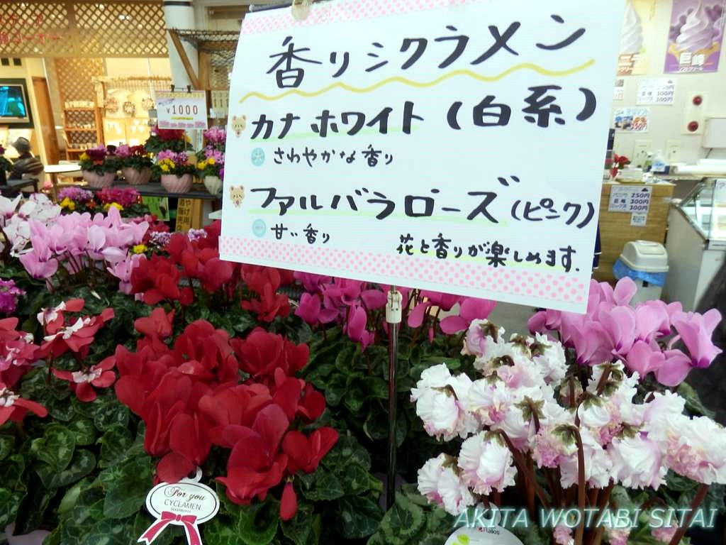 f:id:murabitosonoiti:20181130151213j:plain f:id:murabitosonoiti:20181130151213j:plain