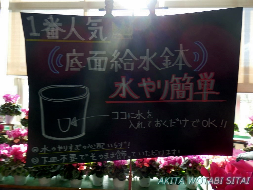 f:id:murabitosonoiti:20181130151456j:plain f:id:murabitosonoiti:20181130151456j:plain