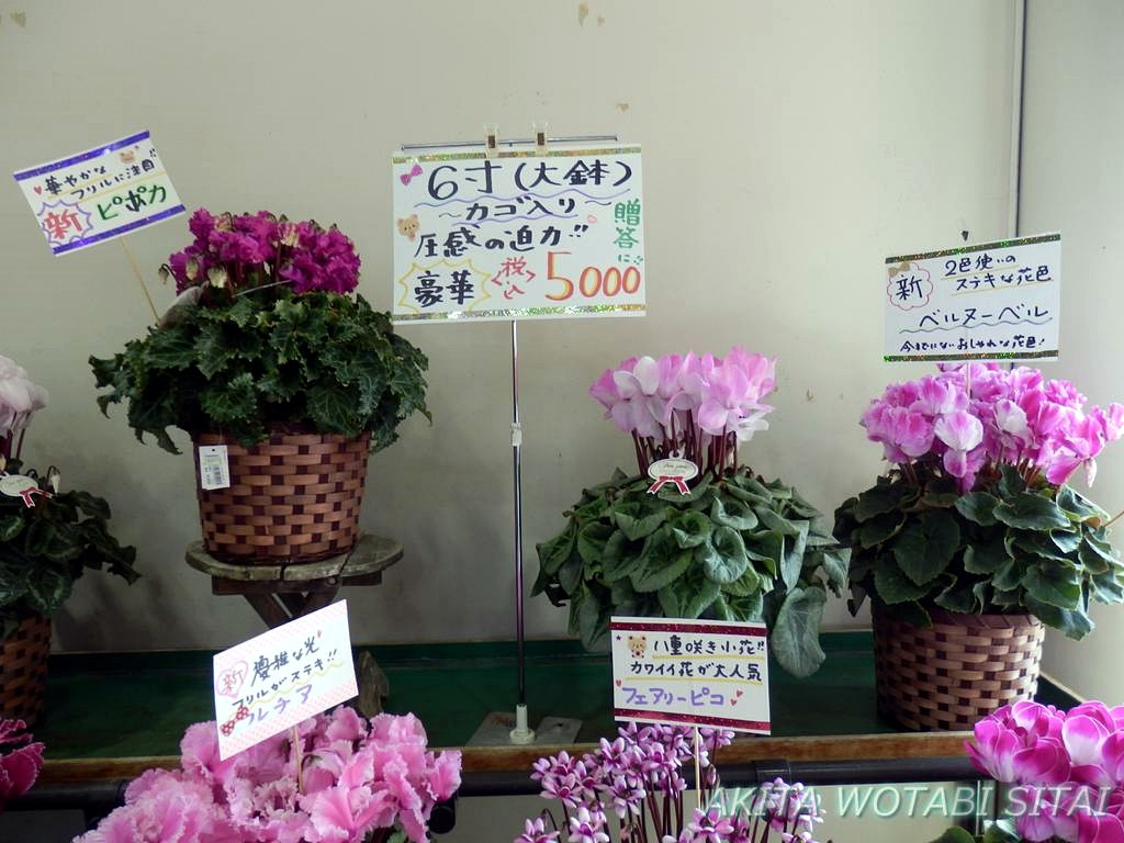 f:id:murabitosonoiti:20181130151541j:plain f:id:murabitosonoiti:20181130151541j:plain
