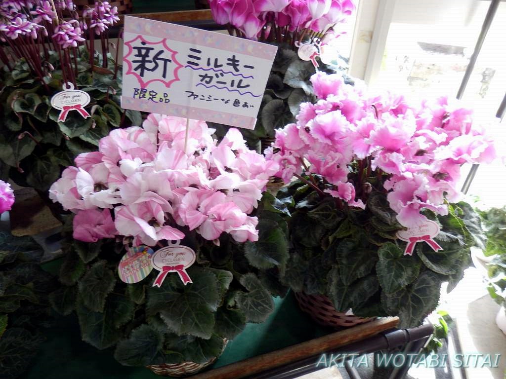 f:id:murabitosonoiti:20181130151750j:plain f:id:murabitosonoiti:20181130151750j:plain