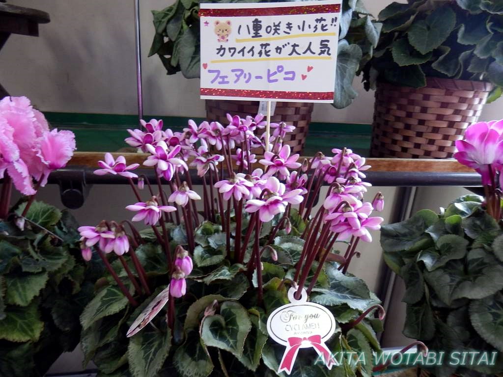 f:id:murabitosonoiti:20181130151805j:plain f:id:murabitosonoiti:20181130151805j:plain